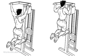 machine_assisted_pull-ups_pullups